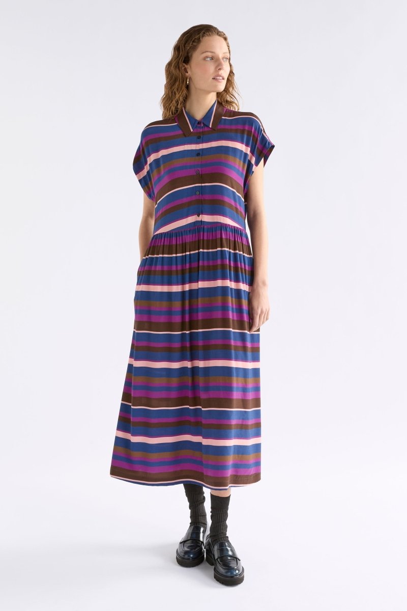 Landau Dress - Riga Stripe