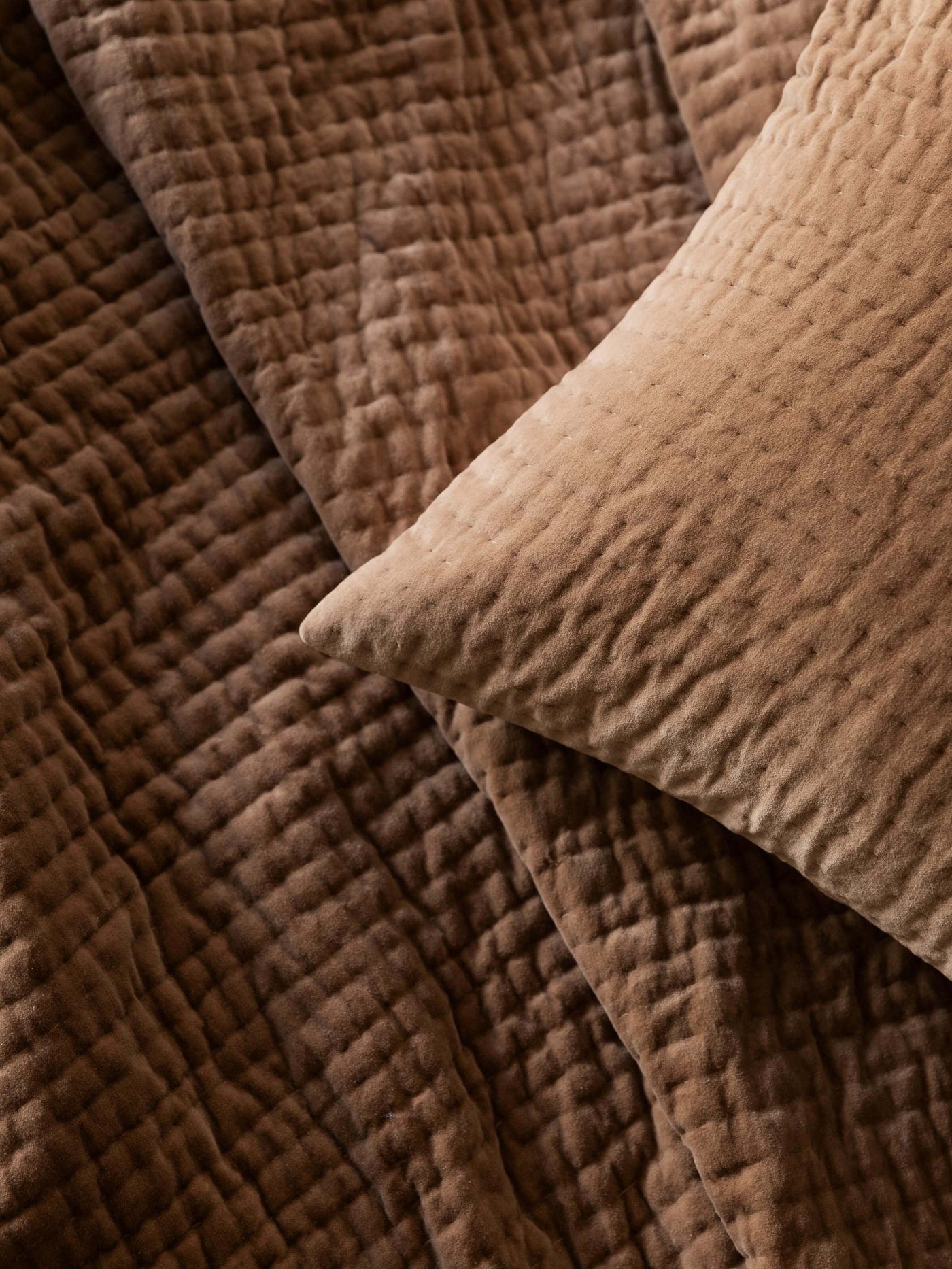 Cino Standard  Pillowcase - Pair